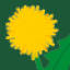 Kindergarten Blumenwiese