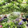 Kindred & Kind Flower Workshops