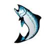 Kingfisher Charters, Alaska Fishing Lodge
