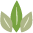 KingsClean