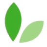 Brandex Woodworks LLC