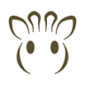 Little Giraffe BV