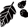Klimawald Bayreuth 5.0