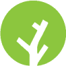 Klok Groenprojecten, Bomen & Biomassa