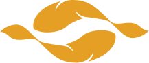KOI CARP SLOVAKIA s.r.o.