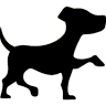Koiraparkki.com