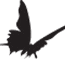 Kolorz