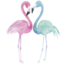 Kosmetik Flamingo