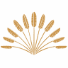 Koyao Island Resort