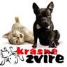 Krásné zvíře
