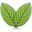 Kratom VIP Veltrubská