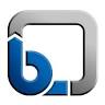 KSB LTD
