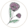 Kwiaciarnia Asteria