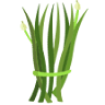 La Ciboulette