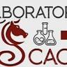 Laboratorio Scacchi