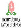 Floricultura Laços Eternos