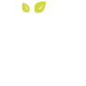 Lady Green
