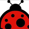 Lady Bird Design Creative Workshops & Jewellery, Blue Mountains