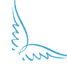 David Toms Foundation AngelWorks Gift Shop