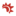 MERCADITO ILLUSION