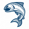 Lake Ontario Sportfishing