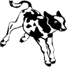 La Mazadera