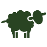 Lambswear Inc