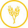 Landpoint Holdings Pty Ltd.