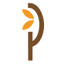La Pepita