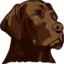 Lar do Labrador