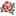 La Rosa de la Alegría