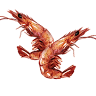 Latitude Fisheries