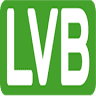 La Vega Baja Servicios Telemáticos SL