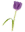 La Violetera Saltillo