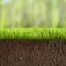 Lawn-Tek LLC