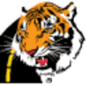Law Tigers Motorcycle Injury Lawyers - Tallahassee