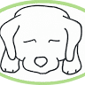 Lazy Labs Bakery