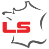 Leadsun