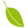 Leaf Jewelry Accessories