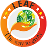 LEAF
