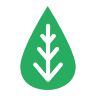LEAFECODES