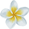 Leelawadee Thai Spa