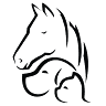 Lee's Summit Animal Hospital: Theiss D J DVM
