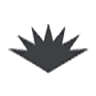 Domaine Leflaive