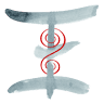 Lemniscate Processus