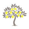 Lemon Tree Lettings and Sales Spain