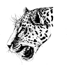 Leopar Ayakkabi