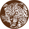 Leopard Tours LTD