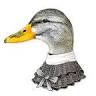 LES CANARDS DE LA SAINTE BAUME