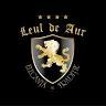 Hotel Leul de Aur Sebes
